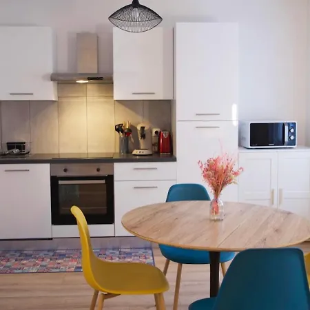 Zum Milhuesa - Entierement Renove Daire Mulhouse